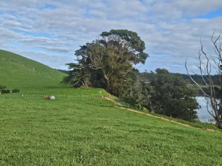 2299 State Highway 1 Waiharara_16