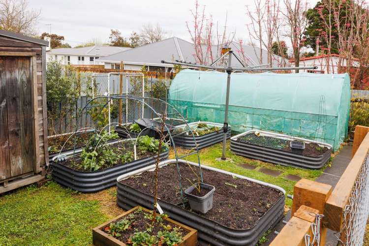 2b Homelands Avenue Feilding_20