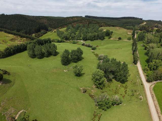 66 Otokia-Kuri Bush Road West Henley_2