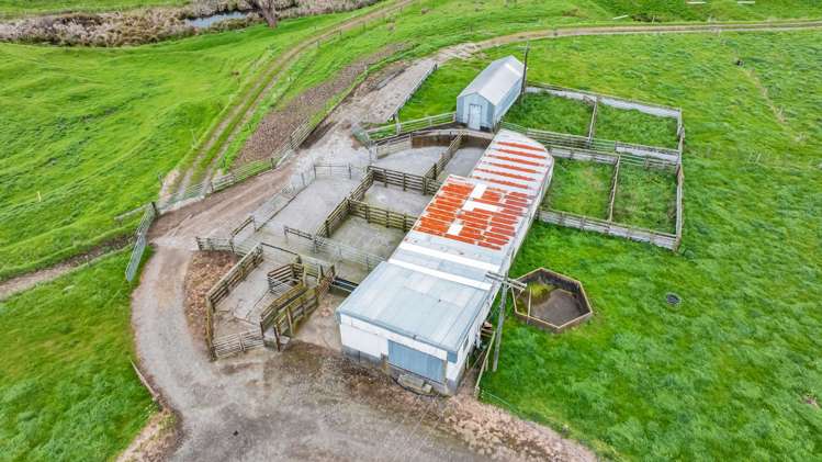 53 Lander Road Ohangai_4