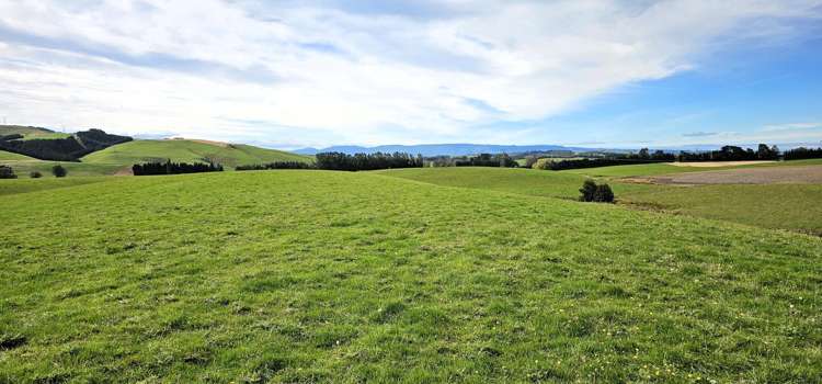 104 Bushy Park Road Waikaka_19