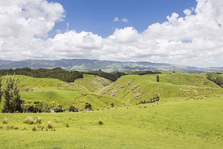 Finnis Road Pohangina_5