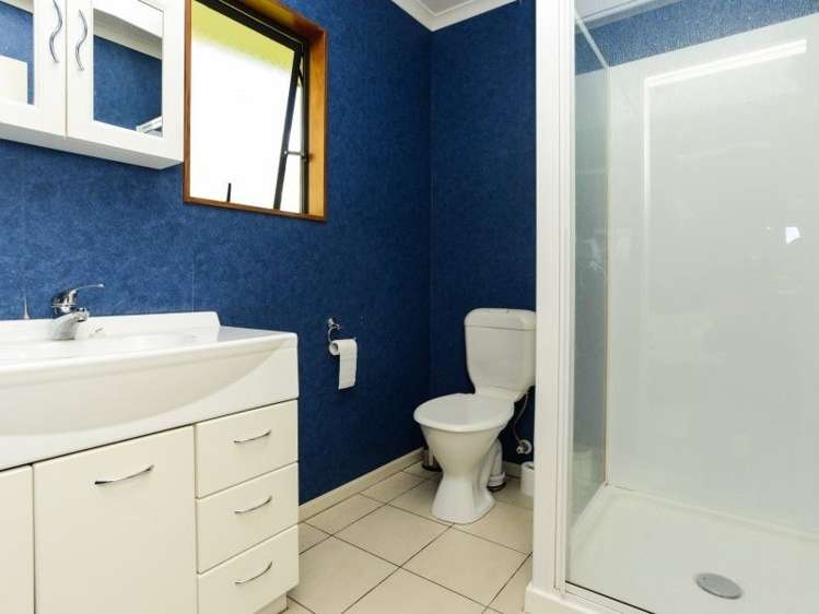 191 Racecourse Road Waipukurau and Surrounds_10