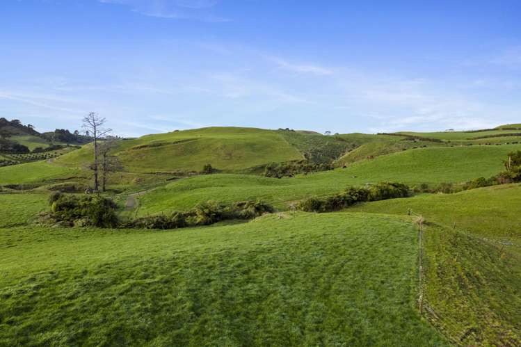 1234 Richmond Road Everett Park_12