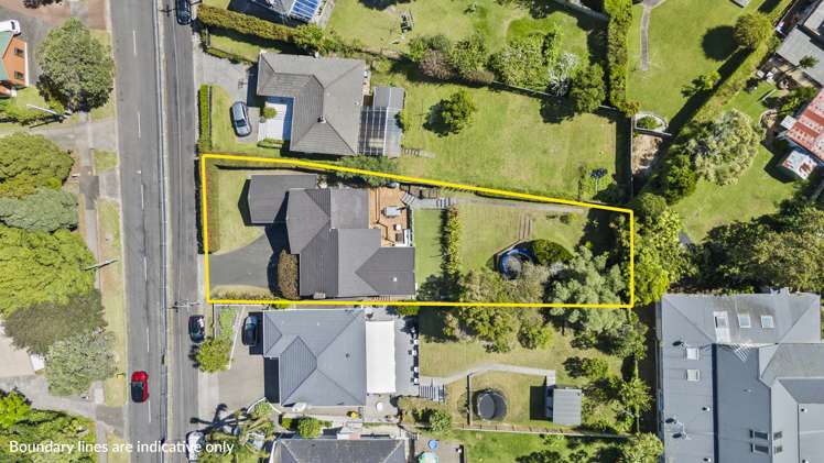 45 Seacliffe Road Hillsborough_21