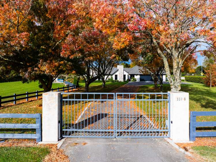 337b Newell Road Tamahere_28