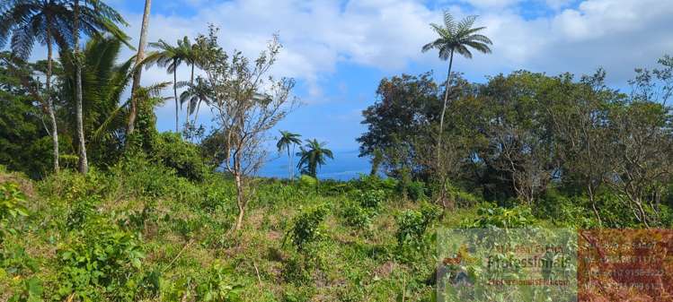 Address withheld Taveuni_11