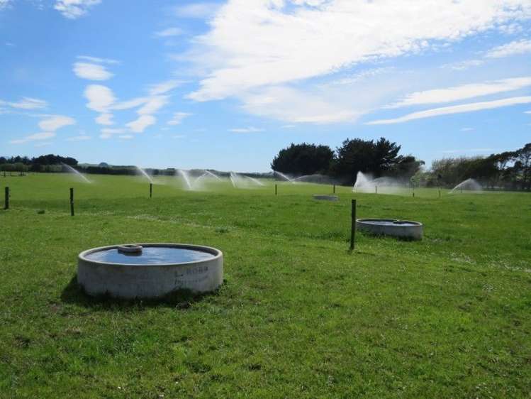 80 Avery Road Pahiatua_1