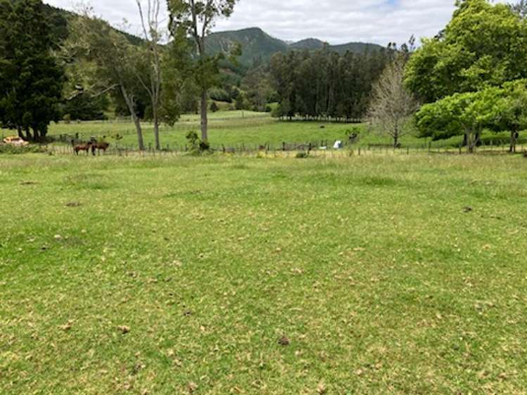 56 Ha Ha Road Pakotai_4