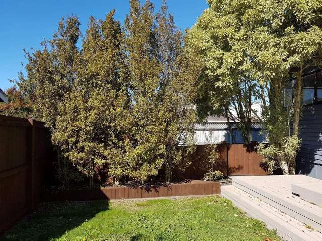 37a Border Road Henderson_1