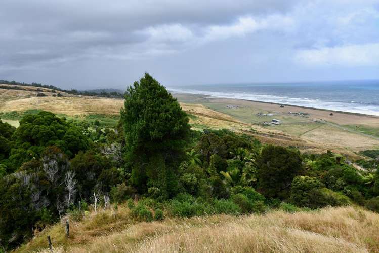 904 Karamea Kohaihai Road Karamea_49