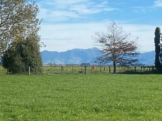 Build your dream - 8 ha bare land