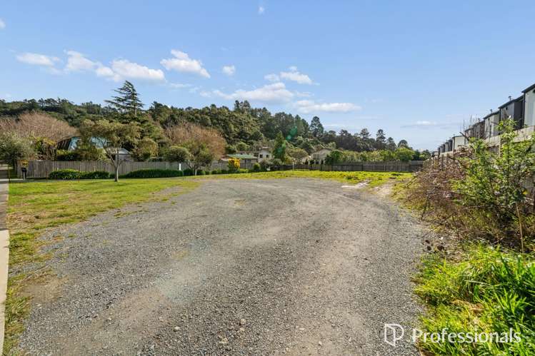 32 Raukawa Street_4