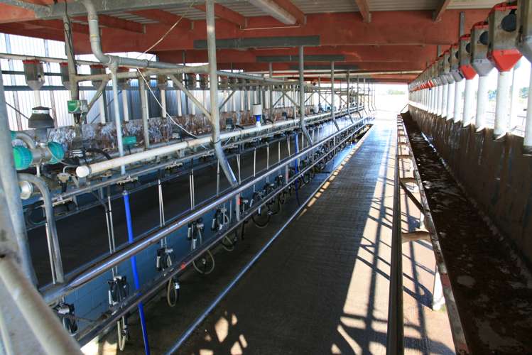 529 Arawhata Road Opunake_11