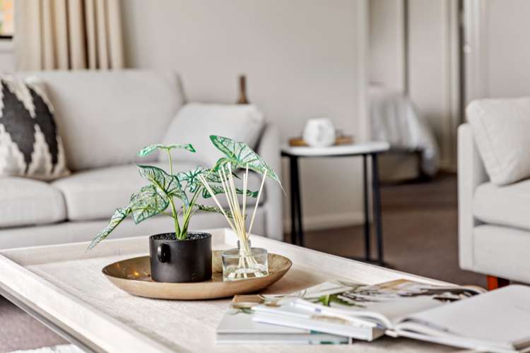 131a Redwood Street Redwoodtown_9