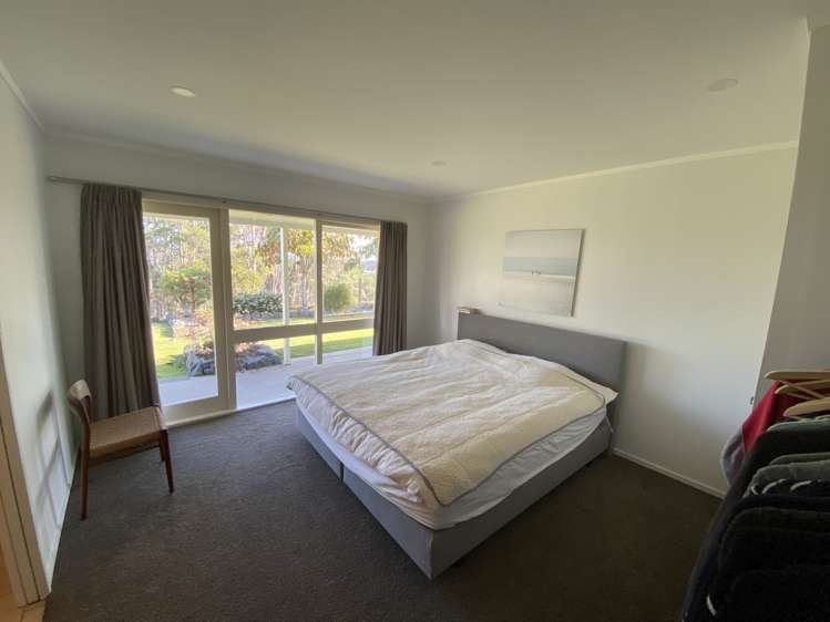 264 Ara-Kotinga Whitford_11