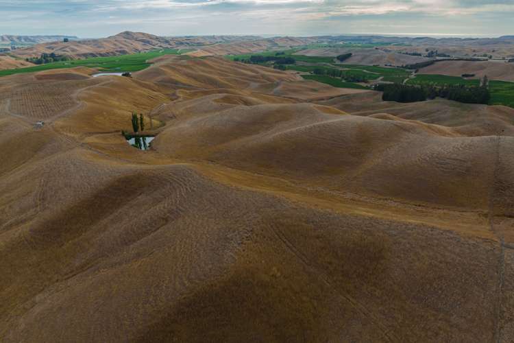 109 Haldons Road Seddon_22