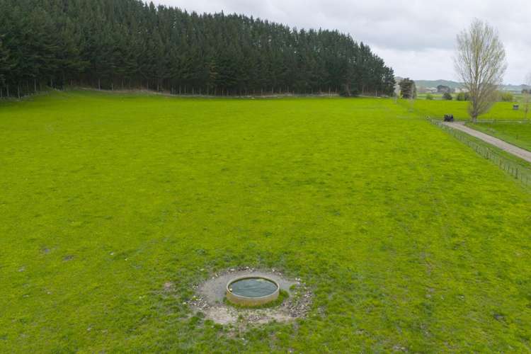 354 Kumuiti Road Fordell_6