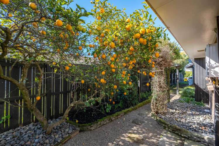 1 Jean Place Pukete_22