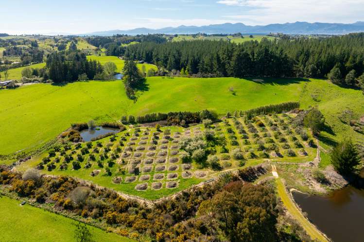 240 George Harvey Road Upper Moutere_5