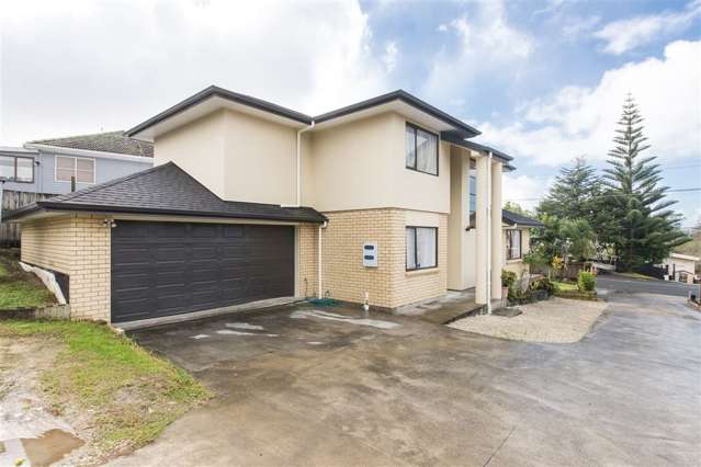 56a Nikau Street New Lynn_1