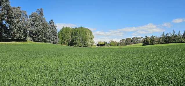 58 Blackhill Road Chatton_2