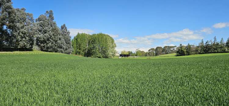 58 Blackhill Road Chatton_2