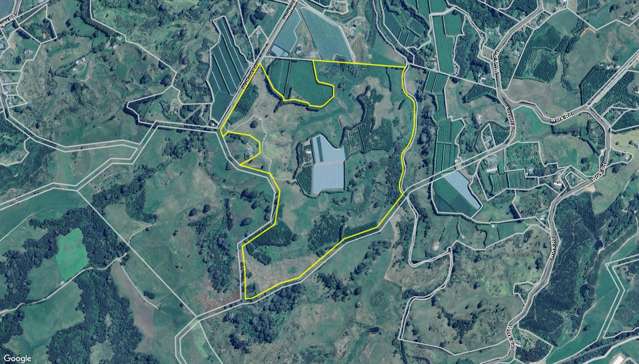 231 Walford Road Aongatete_3