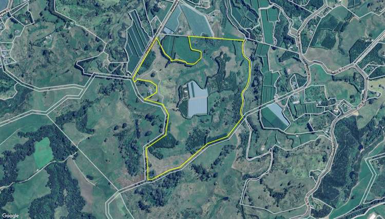 231 Walford Road Aongatete_3