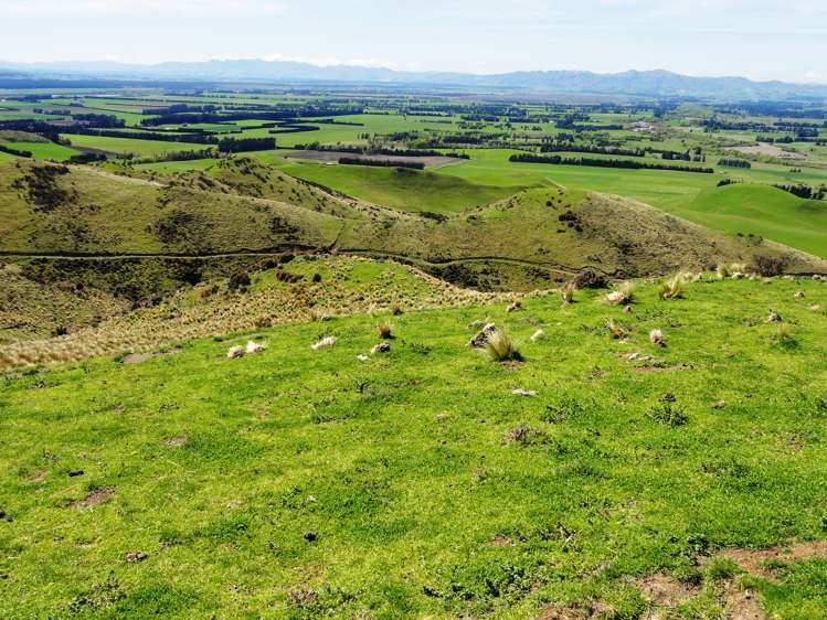 231 Powers Road Hawarden_18