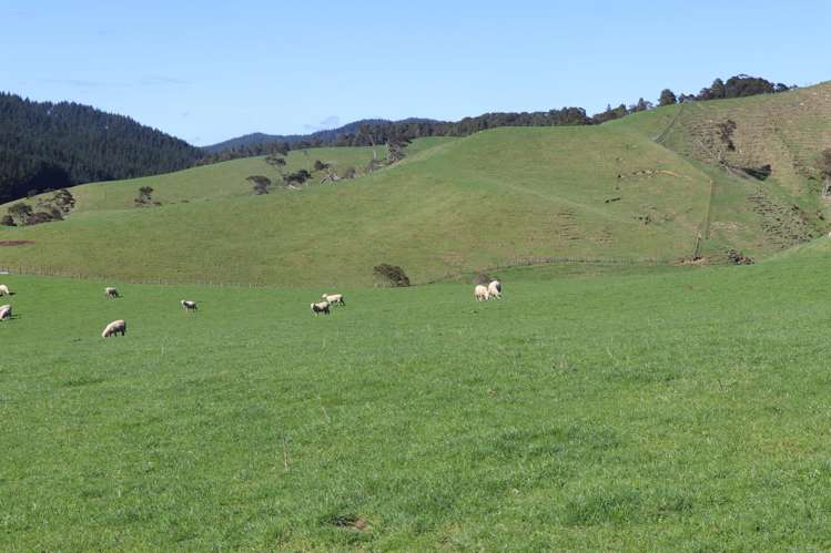 259 Elgood Road Ngaruawahia_1