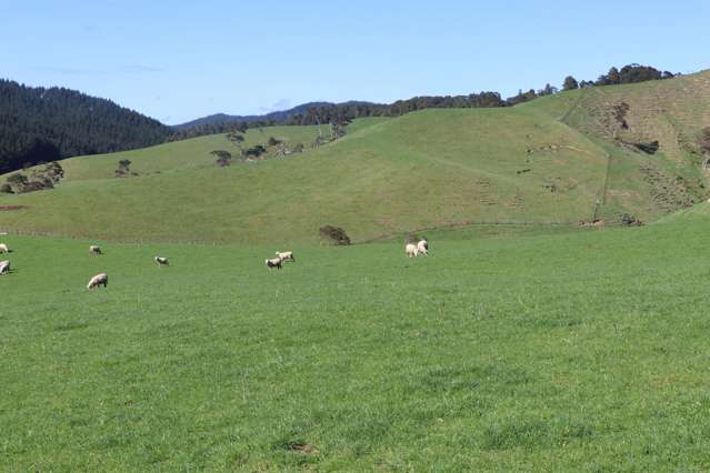 259 Elgood Road Ngaruawahia_1