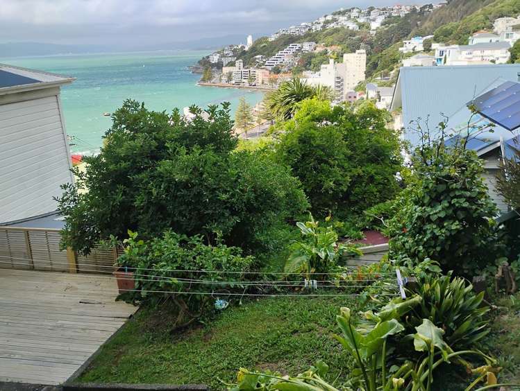 4A Oriental Terrace Oriental Bay_15