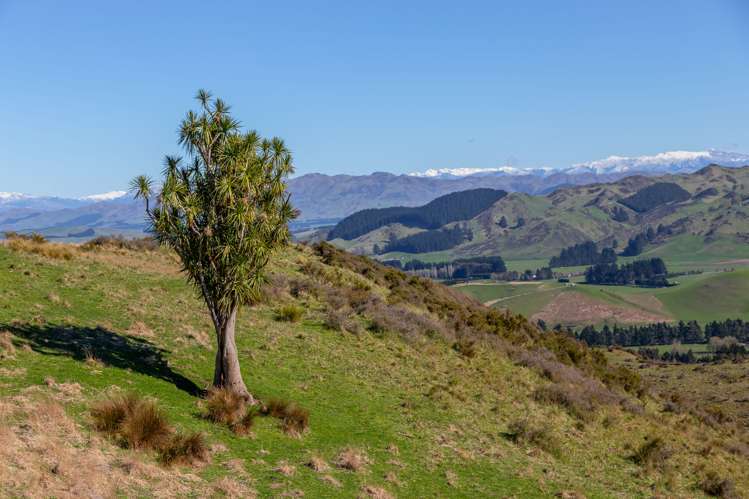 268 Patersons Road Motunau_10