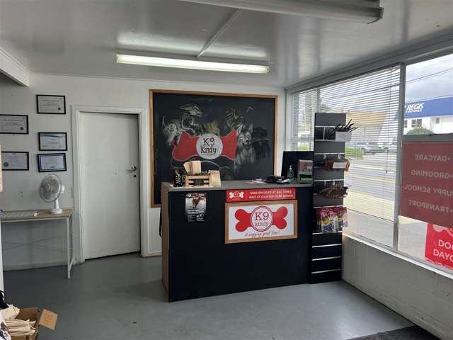 156 Antigua Street Sydenham_4