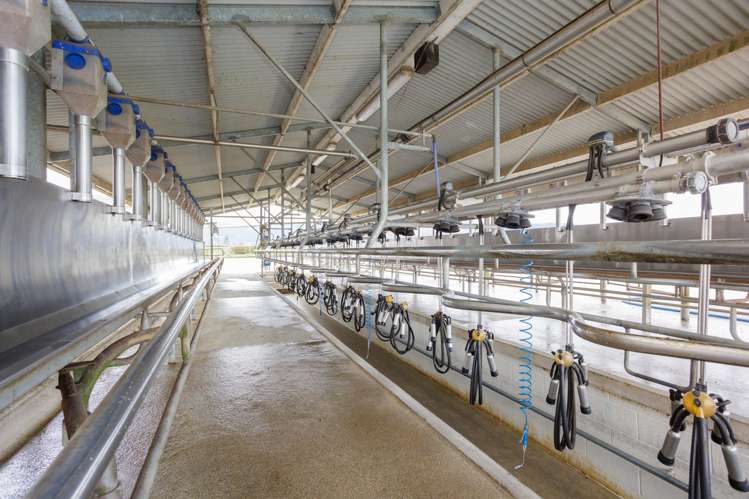 416 Wardville Road Matamata_7