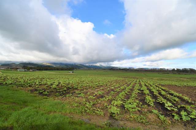 6/111 Muhunoa West Road Ohau_1