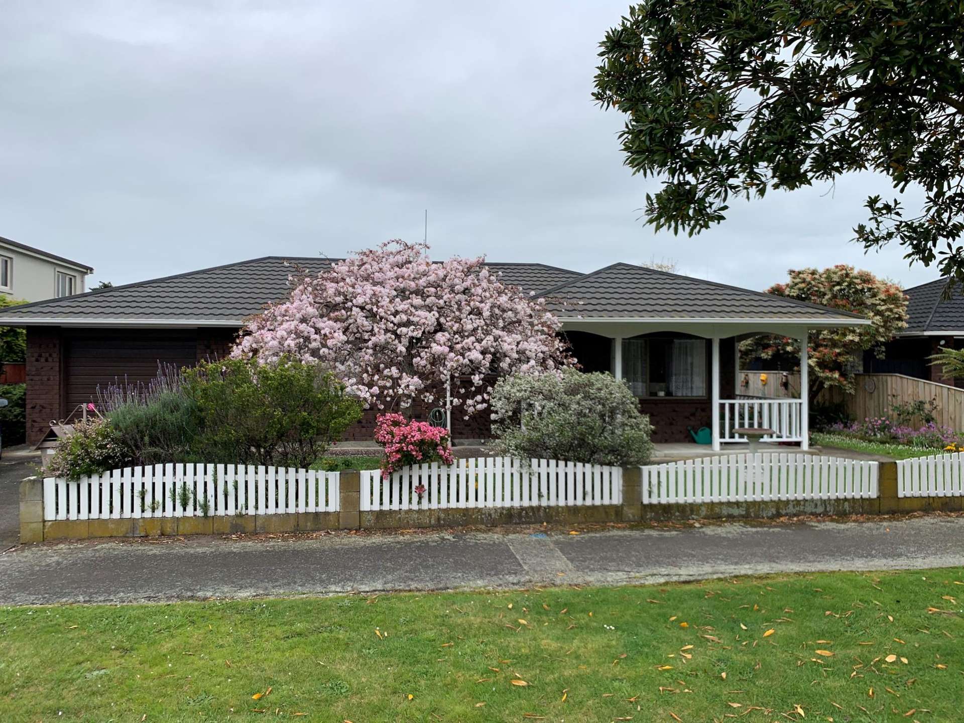 4 Alan Street Palmerston North Central_0