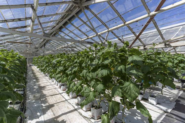 76 Drury Hills Road Drury_11