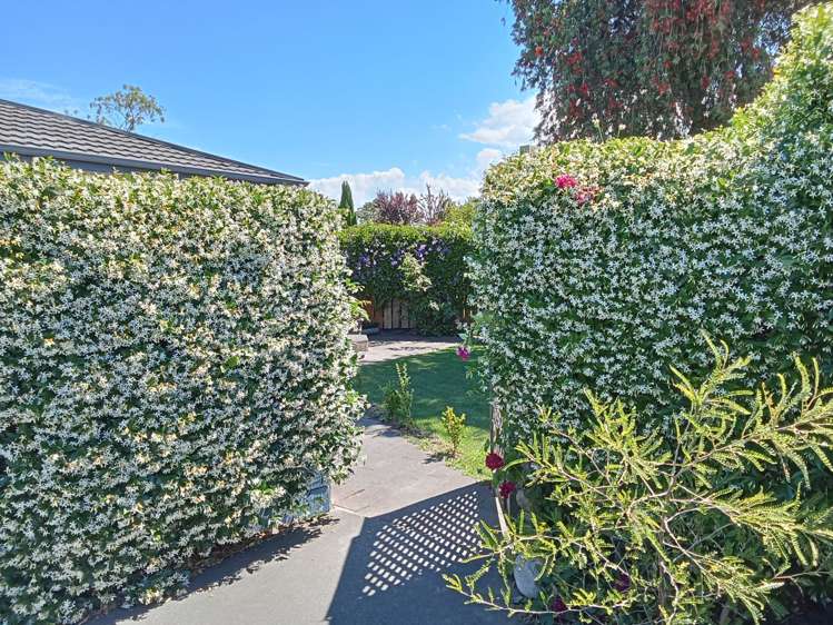 2/16 Alan Styles Place Greenmeadows_14