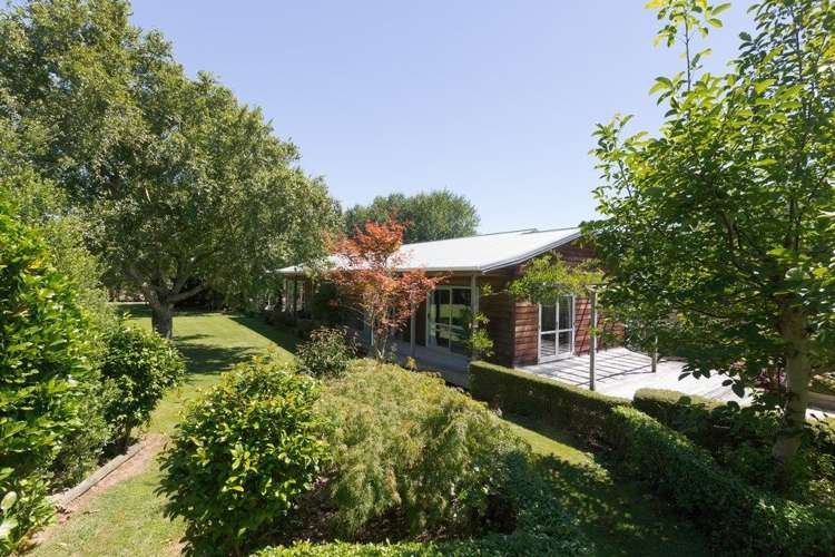 822 Kairanga Bunnythorpe Road Kairanga_5