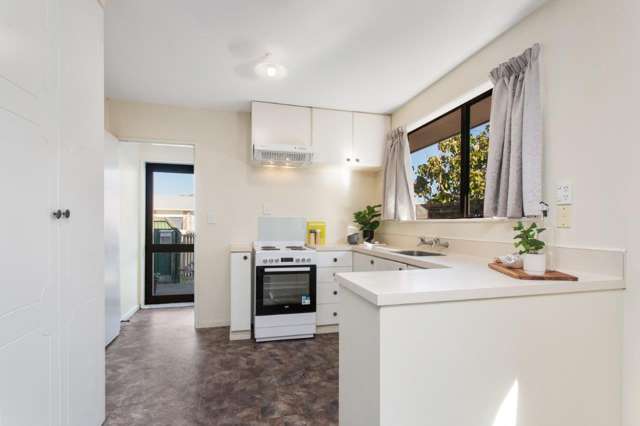 3 Millar Street Sydenham_3