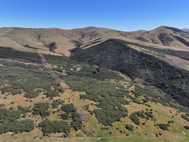 201 Sheepwash Creek Road Ardlussa_4