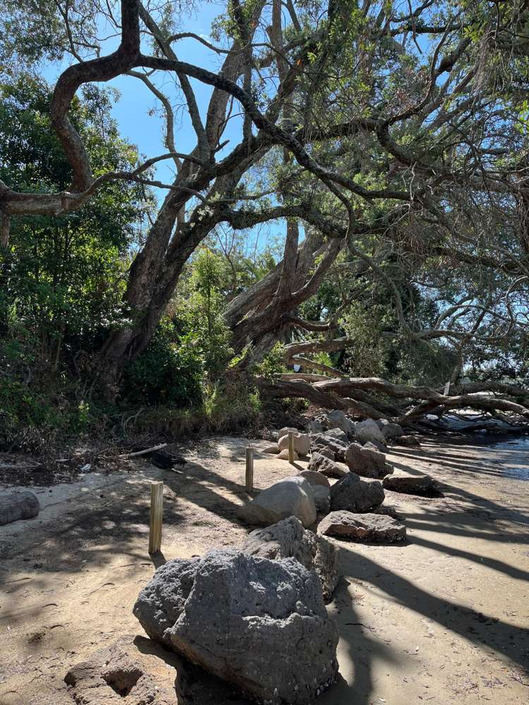 1 Eleventh Avenue Tauranga Central_12