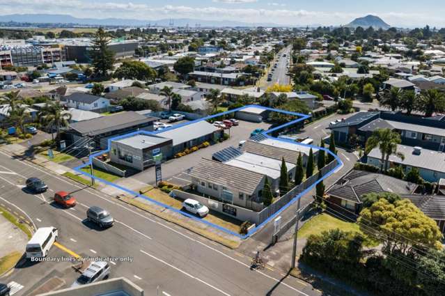 Significant Land Asset – Strong Income