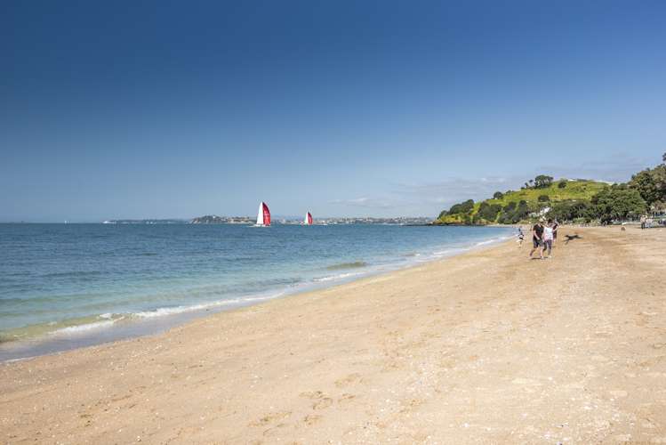 1/29 Tainui Road Devonport_16