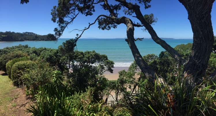 41 Ocean View Road Hatfields Beach_7