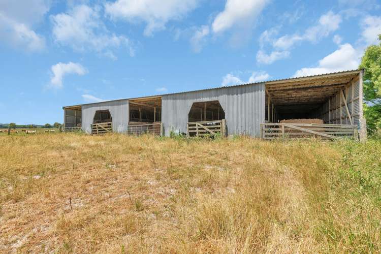 530 Tramline Road Ruawai_8