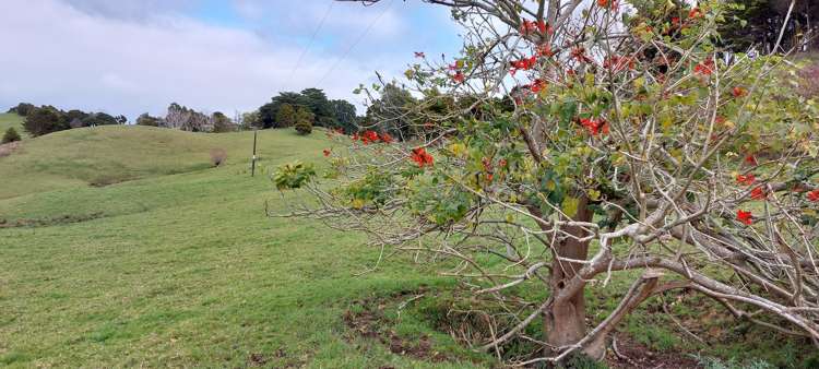 Lot/5 Wearmouth Road Paparoa_9