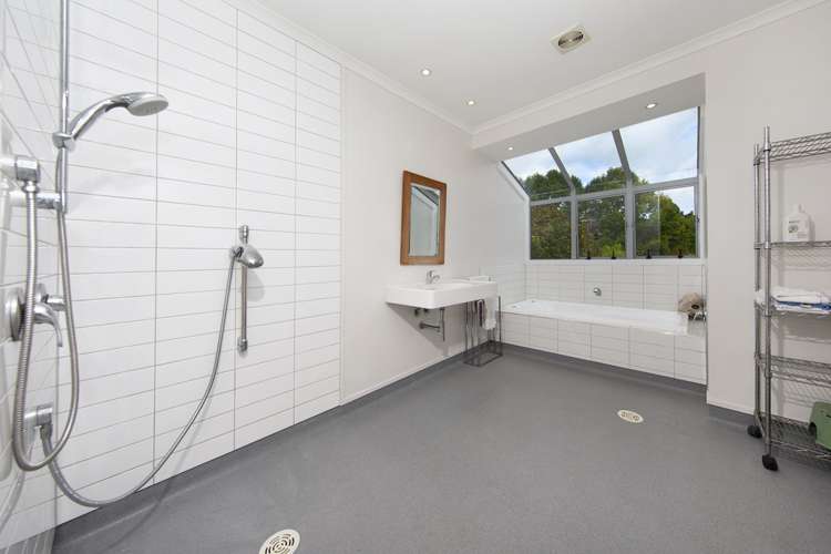 236 Blackbridge Road Dairy Flat_22